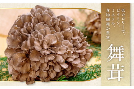 旨味と香りがあふれる奥出雲舞茸4株【舞茸 まいたけ きのこ 野菜 丸ごと 4株 約2kg 国産 無農薬 安全 安心 食物繊維 健康 産地直送 プレゼント ギフト 贈り物】
