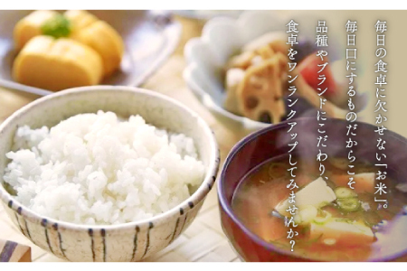 出雲國仁多米10kg【仁多米 コシヒカリ こしひかり 5kg×2袋 合計10kg ブランド米 お米 米 精米 白米 人気 令和7年度産 2025年度産】