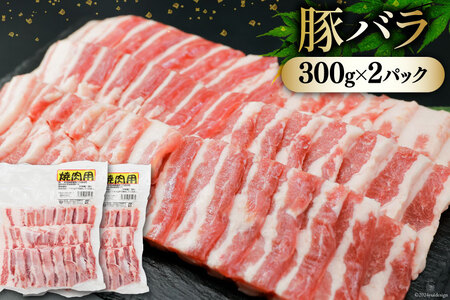 肉 セット 宮崎県産牛 豚 鶏 バーべキューセット 計1.8kg [甲斐精肉店 宮崎県 美郷町 31as0120]