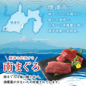 a10-430　焼津港水揚げ ・南まぐろ