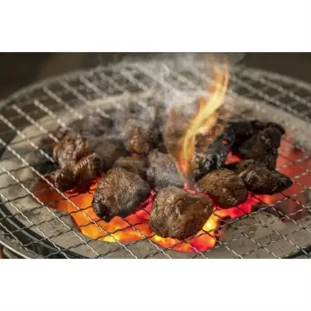 【毎月定期便】はかた地どり炭火焼セット500g(100g×5p)全6回_肉 地鶏 鶏肉   肉  鶏肉   定期便 定期便  _【配送不可地域：離島】【4054418】