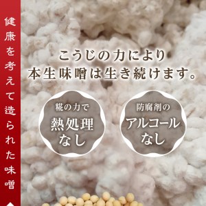 a12-238　味噌 麦 手造り 職人 約800g×3袋+3年 熟成味噌 約120g