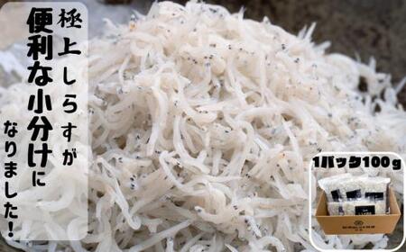 冷凍釜揚げしらす500g （100g×5パック） / シラス 厳選 小分け 冷凍便 お米のおとも【dig001B】