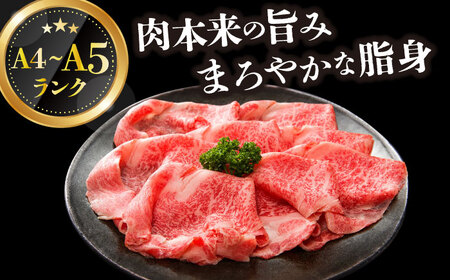 【訳あり】A4-A5 長崎和牛 赤身霜降り（肩・モモ）400g  [DBS021] 赤身