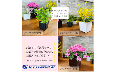 【エコ製品】トヨテックプランター 茶 4サイズセット(4・5・6・6.5号)