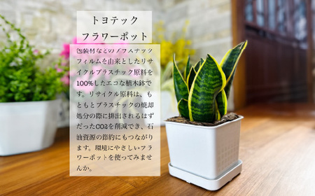 【エコ製品】トヨテックフラワーポット(受皿付)　白　2サイズ×2個セット(4・6号)