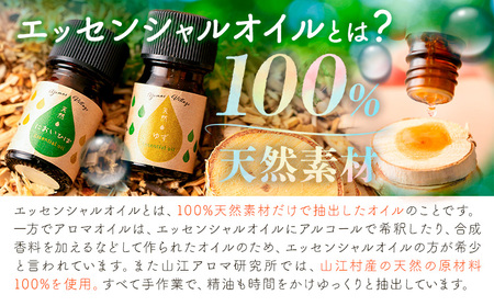 アロマ 山の香セット においひば の香り 芳香ミスト 50ml エッセンシャルオイル 5ml 山江アロマ研究所《30日以内に出荷予定(土日祝除く)》熊本県 球磨郡 山江村 送料無料 ウッディ 山江村産 ニオイヒバ 100% 天然素材 リラックス 睡眠 入浴 インテリア