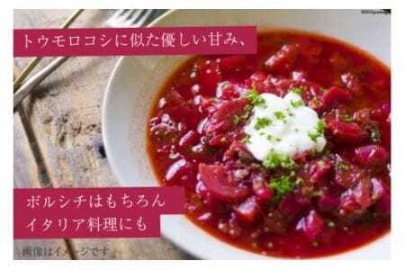 野菜 ビーツ レトルト 200g 6袋 計1.2kg [けんぶちVIVAマルシェ 北海道 剣淵町 14656200]