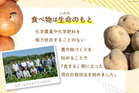 【先行受付】数量限定 野菜 けんぶち産農産物セット 3種 計10kg [剣淵・生命を育てる大地の会 北海道 剣淵町 14656147]