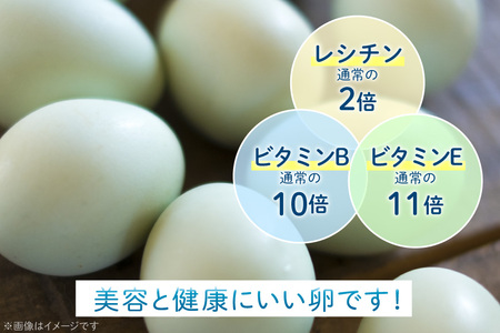 平飼いのアローカナ卵 10個 [ら ぷち ふぁみ～ゆ 北海道 剣淵町 14656182]