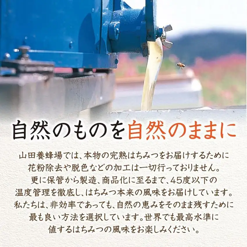 ローズマリー蜂蜜（12552）【006-a048】【山田養蜂場】