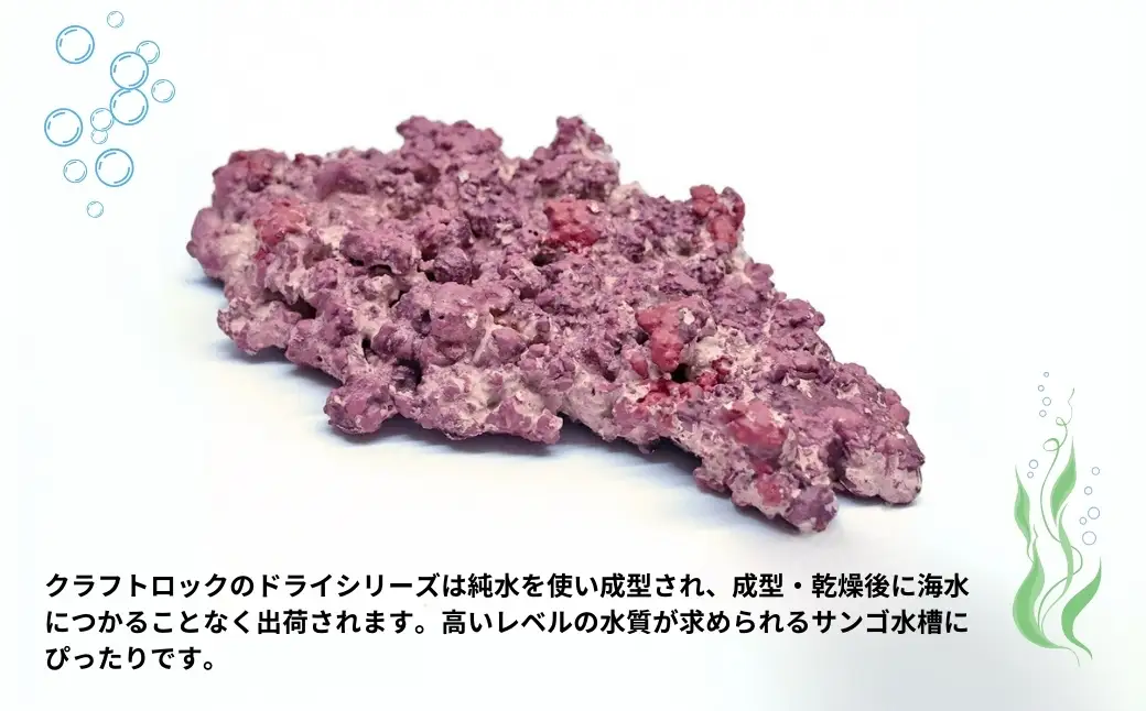 クラフトロックプレート | 水槽 新潟県 出雲崎町
