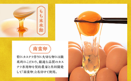 【全3回定期便】特撰カステラ 1号 かすてら デザート スイーツ 長崎名物 お菓子