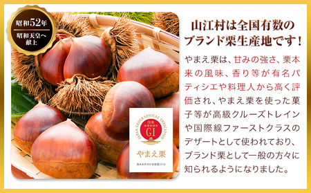 GI認証登録 山江村の やまえ栗 生栗 2kg 品種指定なし 筑波 美玖里 など旬の品種 やまえ栗ブランド部会 有限会社やまえ堂《9月下旬-10月中旬頃出荷》熊本県 球磨郡 山江村 栗 くり フルーツ 熊本県産 果物 早期 予約 