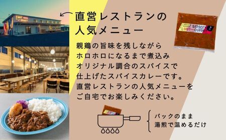 親鶏のスパイスカレー 5個セット（辛口）【テンアール株式会社】 カレー スパイスカレー 辛口 鶏 鶏肉 平飼い 冷凍配送 北海道 [AXAN009]