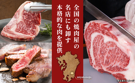 【黒毛和牛】ロースステーキ150g×2枚_LG8-I901_(都城市) 国産黒毛和牛 ロースステーキ 150g×2枚 ロース肉 贈答用 ステーキ ステーキ丼