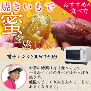 ＜先行予約受付中！2026年8月以降順次発送予定！＞ 鹿児島県 曽於市産 新物 紅はるか (5kg) 芋 さつまいも 【瀬崎農園】A349-v01