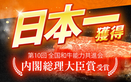 長崎和牛A5ランク極上サーロインスライス（400ｇ）[OCH017]
