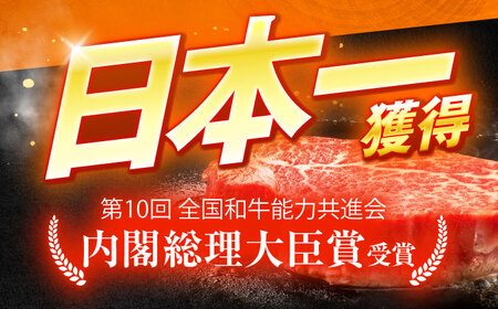 長崎和牛A5ランク 赤身切り落とし（モモ･バラ）（400g）[OCH021]
