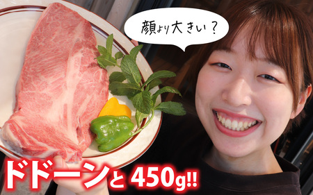 福井県内産若狭牛＜フライパンサイズ＞肩ロース 450g  [A-012010]