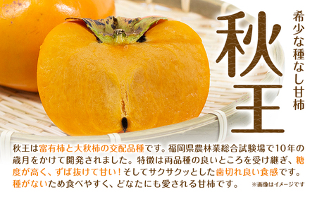 ☆2026年出荷☆ 秋王 約1.7kg《11月上旬-11月末頃出荷》柿 福岡県 【配送不可地域あり】