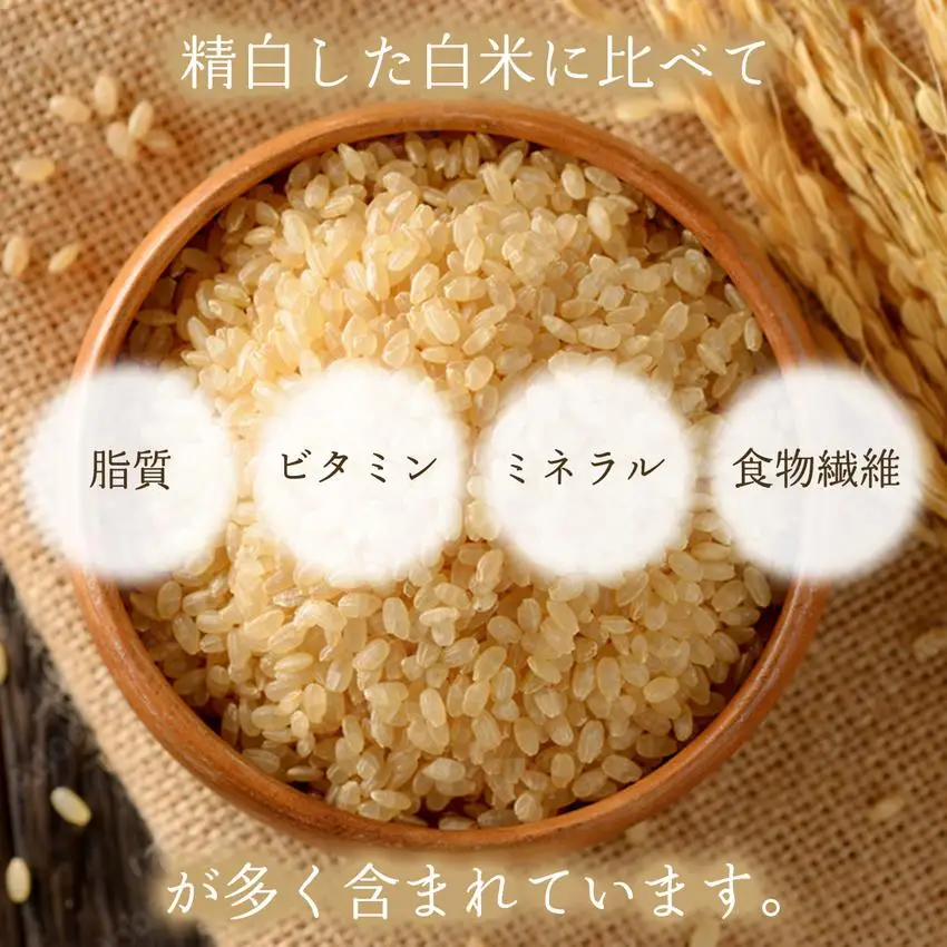 玄米粉 パンケーキミックス 200g×5袋
