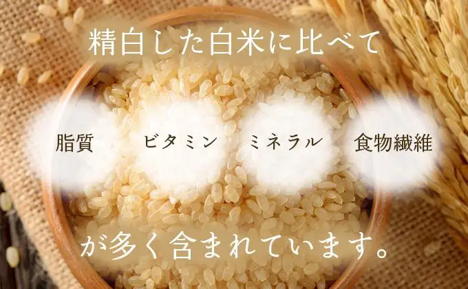 自家製粉玄米粉　700g×3袋【009-a008】
