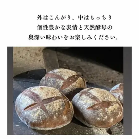 石窯パン詰め合わせセット(5個入り)【配送不可地域：離島】【1534919】