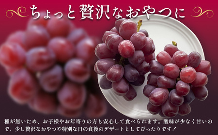 贈答用 富士の輝 1房《8月下旬-9月下旬頃出荷予定》富士の輝きぶどう果物フルーツ贈り物お取り寄せフルーツ【配送不可地域あり】(離島)