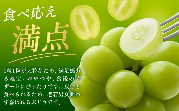 贈答用雄宝1房 《8月下旬-9月下旬頃出荷予定》雄宝ぶどう果物フルーツ贈り物お取り寄せフルーツ 【配送不可地域あり】(離島)