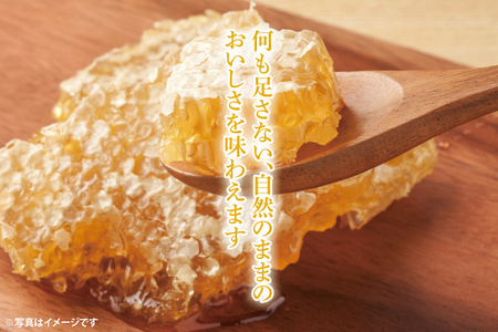 【先行予約】日本ミツバチの国産天然はちみつ 360g（180g×2本）(KH-2)