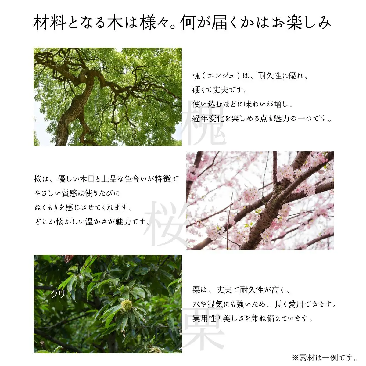 ＜名入れ対応＞携帯用靴ベラ （広葉樹）&皮ひもストラップ　［013-a009］
