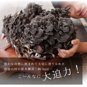  舞茸 約1kg 先行予約 きのこ 原木まいたけ【tab0225-1000】