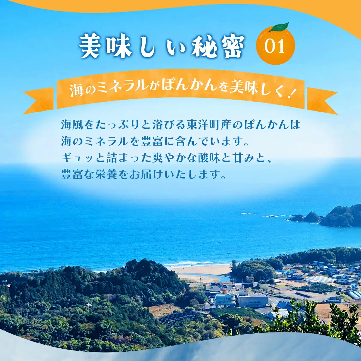 訳アリ完熟ぽんかん＜5kg＞×2箱セット10kg  【株式会社フクチャンFARM】