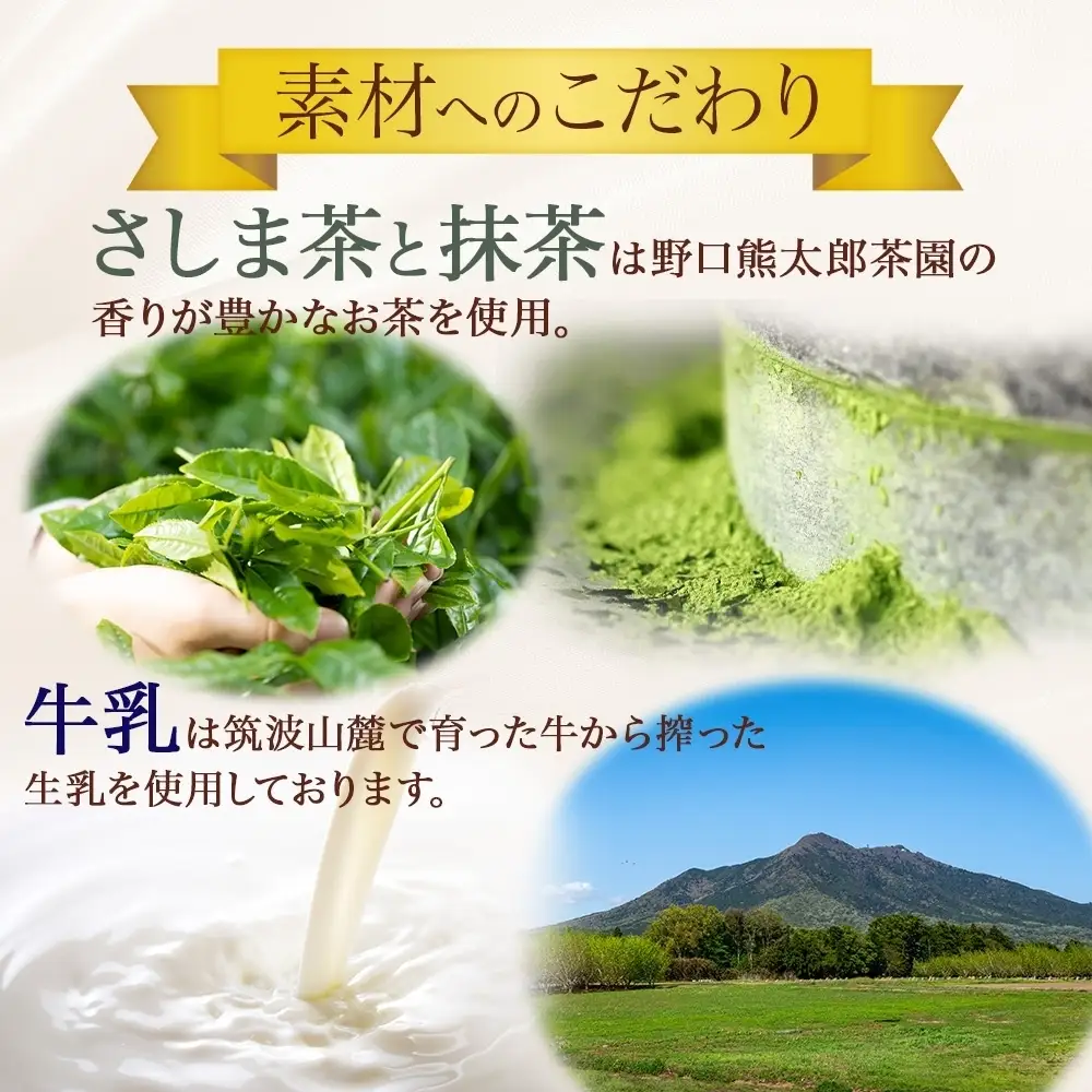 つくばぷりん さしま茶ぷりん ６個 プリン ぷりん さしま茶 茶 抹茶 牛乳 ミルク 卵不使用 スイーツ 贅沢 洋菓子 おやつ 冷菓 和スイーツ ご褒美 デザート 人気 グルメ お取り寄せ ギフト プレゼント 贈り物 贈答品 冷蔵 送料無料 ふじ屋 茨城県 桜川市 [EW013sa]