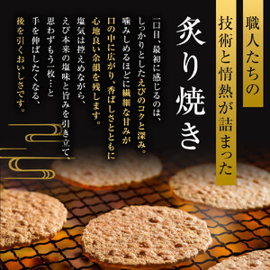 桂新堂 炙り焼き詰合せ（27袋入）