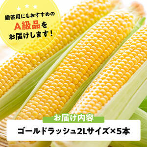 【令和8年発送】宮崎県産とうもろこし　スイートコーン「ゴールドラッシュ」2L×5本【新鮮 農家直送 トウモロコシ 産地直送 季節限定 期間限定 宮崎県産 九州産】