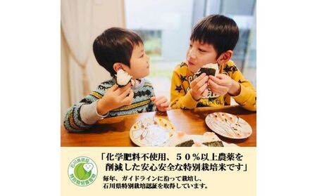 【日本農業賞大賞】【定期便2カ月連続】特別栽培米コシヒカリ4.5kg精白米 お米 コシヒカリ 