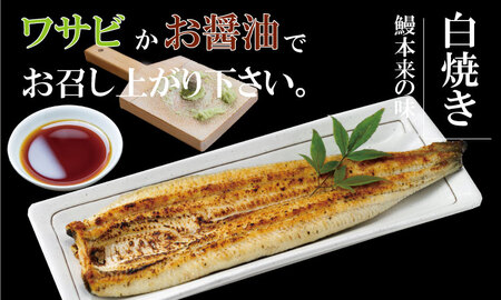 職人手焼き 国産鰻（白焼き２尾、蒲焼き１尾） 鰻屋 川べえ  D350-004