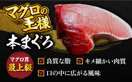 【全12回定期便】天然 本まぐろ 大トロ・中トロ・赤身（約200ｇ×3柵）約600ｇ  鮪 マグロ 魚 刺身 横須賀【横須賀商工会議所 おもてなしギフト事務局（本まぐろ直売所 横須賀本店）】 [AKAK076]