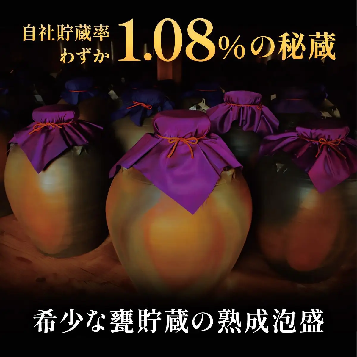【2024IWSC最高金賞/限定20セット】 忠孝 甕熟成18年古酒40度500ml（おちょこ付き）｜泡盛 あわもり 酒 お酒 酒類 古酒 1本 ユネスコ 無形文化遺産 ユネスコ無形文化遺産登録決定 伝統的酒造り 酒造 沖縄県 沖縄 豊見城市(BY028)