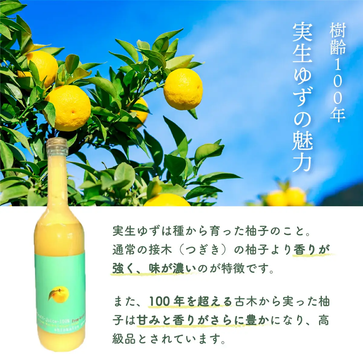 ゆず果汁100％　ユズプレミアム　720ｍl ボトル2本 [S-27] 【株式会社森海家】