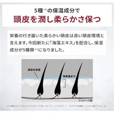 スカルプD　薬用スカルプパックコンディショナー|コンディショナー メンズ 薬用 ヘアケア【1532547】