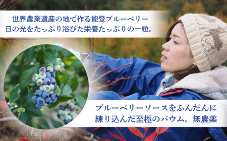 バームクーヘン グルテンフリー 能登塩ぶるべり 1個 | バウムクーヘン 米粉 ギフト ツキトワ