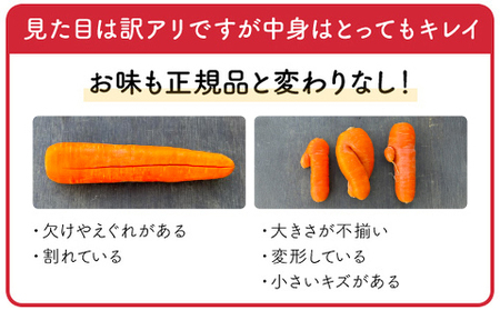 【12月～2月発送】【栽培期間中農薬不使用】訳あり人参５㎏ AIBA FARM　Ｂ品 / 野菜 やさい にんじん 人参 ニンジン 名産 特産 甘い 美味しい 訳あり 不揃い B級 健康 ヘルシー フードロス AIBA FARM アイバファーム 千葉県 富里市 TML006