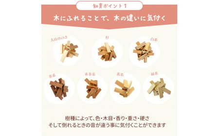 森のドミノさん【専用収納木箱付きドミノピース】
