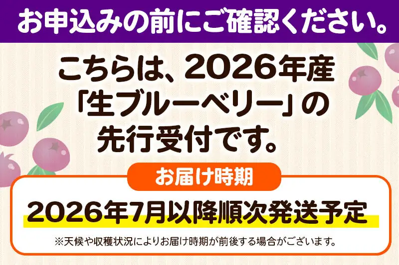 【2026年収穫先行受付】生ブルーベリー(大粒)「くろうの実」＆(中粒)「北風こぞう」セット 各約100g×6パック 計12パック