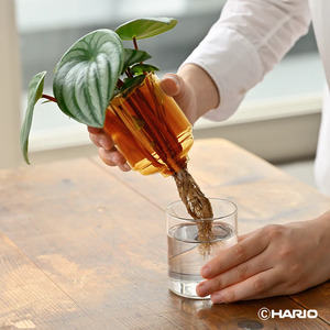 HARIO ガラスの花器［GK-200-AB］｜ HARIO ハリオ_FI80