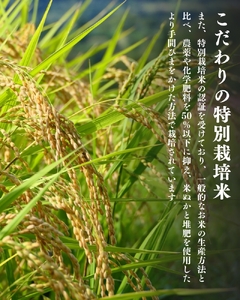 【令和8年産先行予約】【10月初旬発送】平泉町産特別栽培米 金色の風450g【mih006】