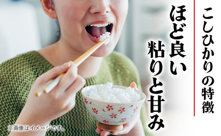 令和7年幸手産 こしひかり【無洗米】4.5㎏×2袋 - コシヒカリ 無洗米 9kg 令和7年産 便利 時短 埼玉県 幸手市 幸手市産